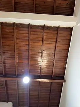 emiss  online show from 02.04.26