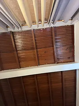 emiss  online show from 04.18.26