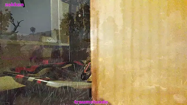 BongChannel online show from 01.21.25