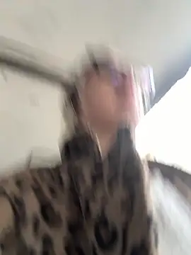 casalinga88 online show from 10.21.25