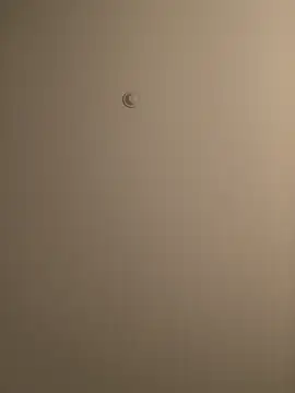 BIGWHITECOCKDOC36 online show from 03.05.25