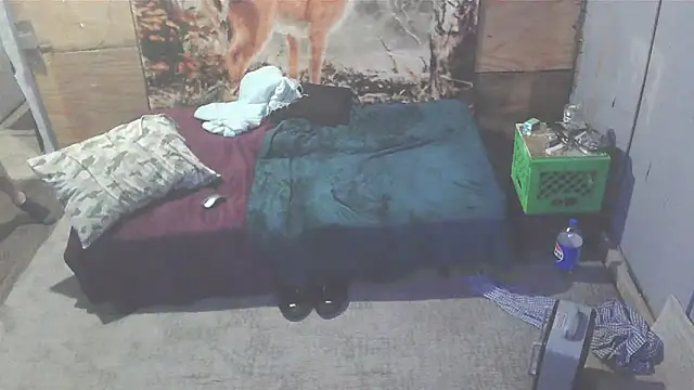 Smurfschmidt online show from 01.07.25