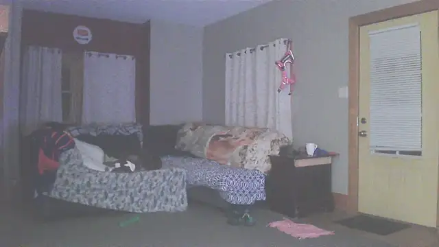 Smurfschmidt online show from 03.13.26