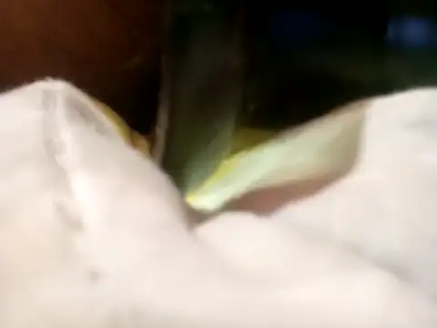 Pcsammy73 online show from 11.26.25