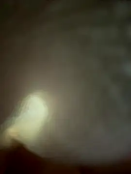 eveangelll online show from 11.04.25