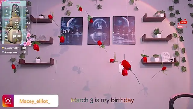 macey elliot  online show from 02.27.25