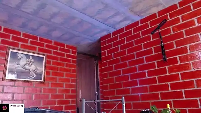 Trix fiore oficial online show from 03.11.26