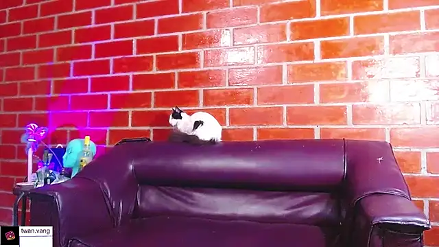 Trix fiore oficial online show from 03.22.26