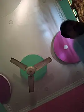 Dream kolkata online show from 01.17.26