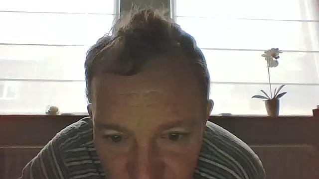 bertolini online show from 02.13.26