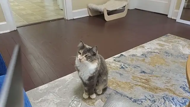 sexylilly69 online show from 04.11.26