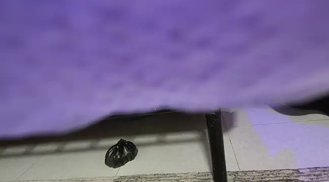 Snapshot of sweet-greedy chatting on 02.06.25 sweet-greedy online show from 02.06.25