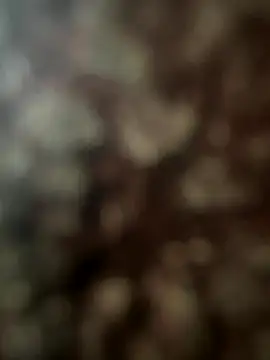 FrutenFratenR9 online show from 11.11.25