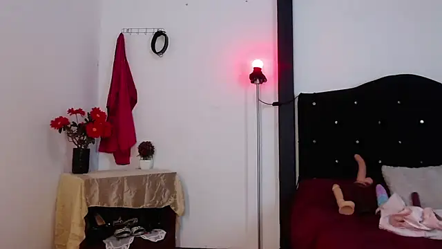 sirax66 online show from 02.13.25
