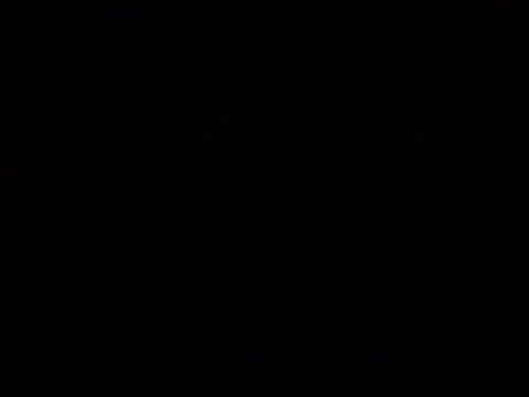 markluvskitty online show from 02.19.26