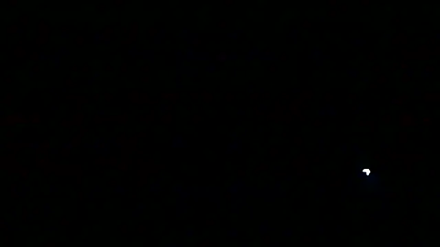 markluvskitty online show from 03.13.26