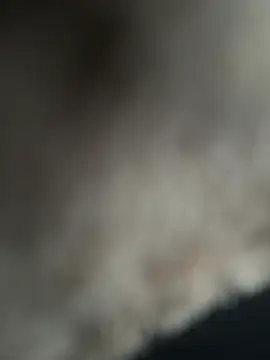 Snapshot of Joaquinp2023 chatting on 01.21.25 Joaquinp2023 online show from 01.21.25