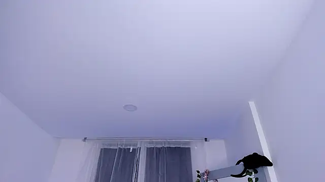  mia collins b  online show from 01.29.25