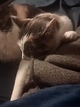 Snapshot of AmazonianMistress chatting on 02.10.25 AmazonianMistress online show from 02.10.25