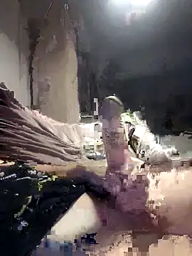 Bi-Sunny online show from 10.11.25