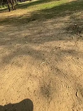 Snapshot of Cum_on_your_tityyy chatting on 01.13.26 Cum on your tityyy online show from 01.13.26