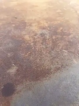 Snapshot of Black-mamba-madingo chatting on 09.28.25 Black-mamba-madingo online show from 09.28.25