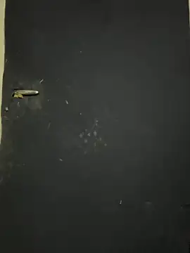 Snapshot of Black-mamba-madingo chatting on 10.09.25 Black-mamba-madingo online show from 10.09.25