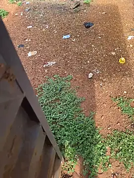 Black-mamba-madingo online show from 04.04.26