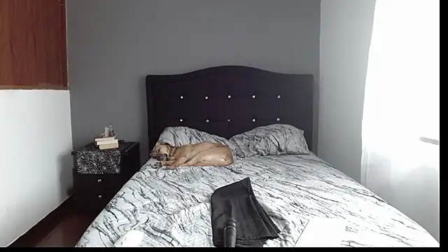 Emilia 1995 online show from 01.08.25