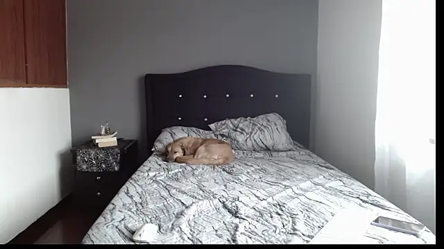 Emilia 1995 online show from 01.09.25