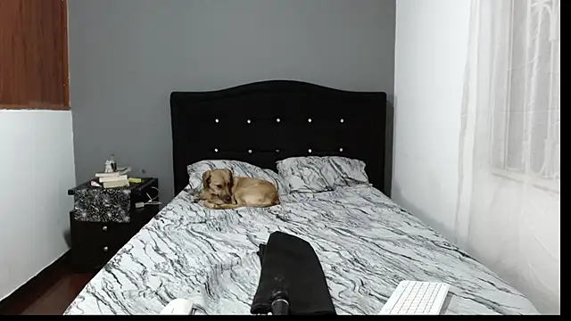 Emilia 1995 online show from 01.21.25