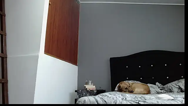 Emilia 1995 online show from 01.30.25