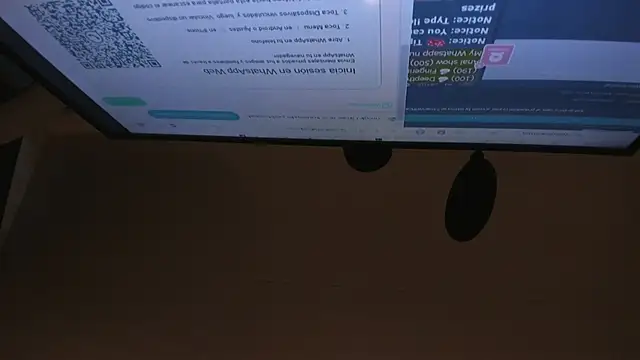 Snapshot of _Victoria____ chatting on 03.11.25 Victoria online show from 03.11.25