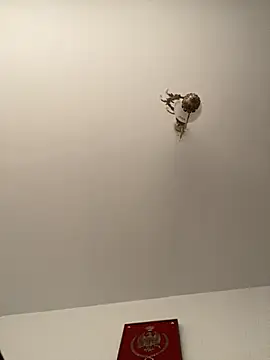 Snapshot of roohblak chatting on 02.08.26 roohblak online show from 02.08.26