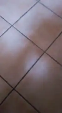 ZorraidaGiroNina online show from 02.03.25