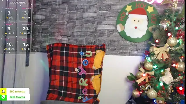 YourDreamLoverr online show from 12.27.24