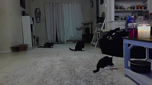 CrystalLakeXO online show from 10.19.25