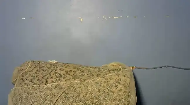 shishbabe online show from 03.04.25