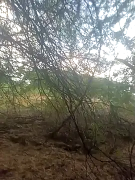 lovesuna online show from 09.30.25