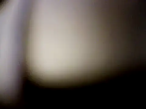 Snapshot of Mic_Oxinner chatting on 12.07.24 Mic Oxinner online show from 12.07.24