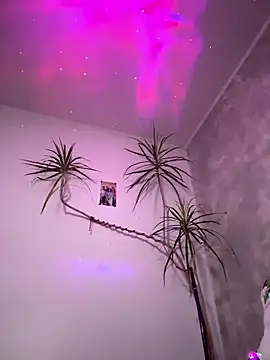 derek1494 online show from 01.05.26