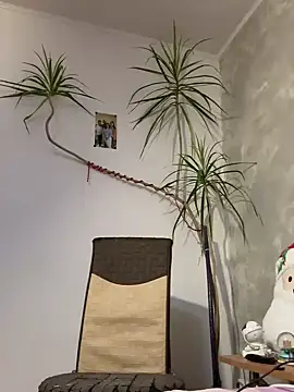 derek1494 online show from 01.09.26