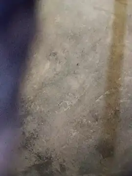 Snapshot of Yasha_14C_Creator chatting on 10.18.25 Yasha 14C Creator online show from 10.18.25