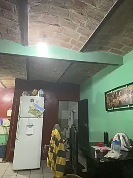 nowex18 online show from 10.10.25