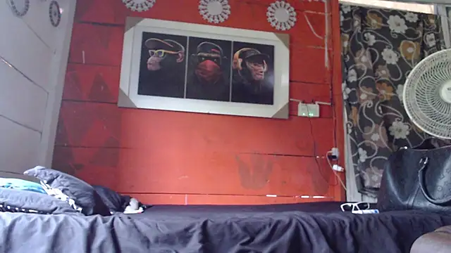 gavi 19cm online show from 12.21.24