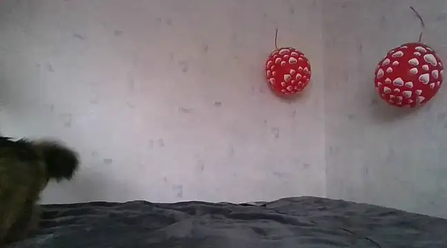 AngelinaLove28 online show from 02.05.25