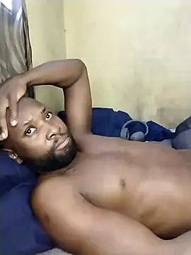 Stallion100 online show from 12.08.24