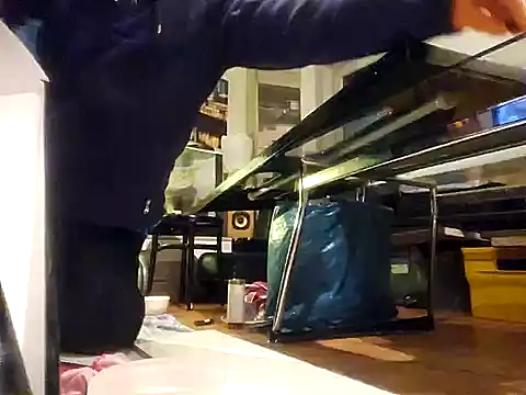 0815lukas2024 online show from 12.07.24