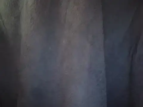 0815lukas2024 online show from 02.26.25