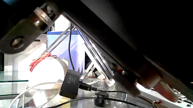 0815lukas2024 online show from 10.21.25